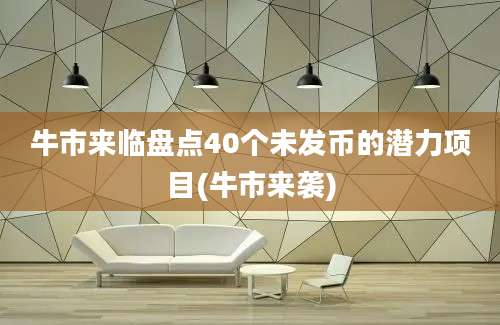 牛市来临盘点40个未发币的潜力项目(牛市来袭)