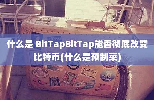 什么是 BitTapBitTap能否彻底改变比特币(什么是预制菜)