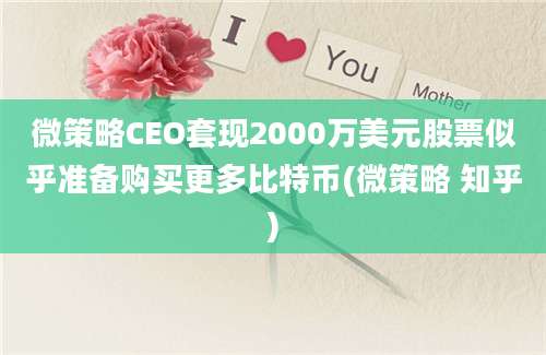 微策略CEO套现2000万美元股票似乎准备购买更多比特币(微策略 知乎)