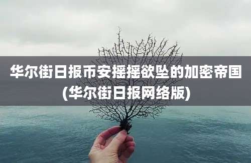 华尔街日报币安摇摇欲坠的加密帝国(华尔街日报网络版)