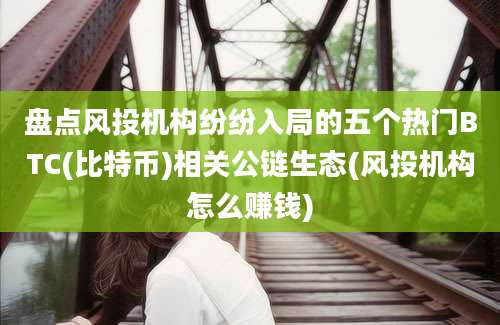 盘点风投机构纷纷入局的五个热门BTC(比特币)相关公链生态(风投机构怎么赚钱)