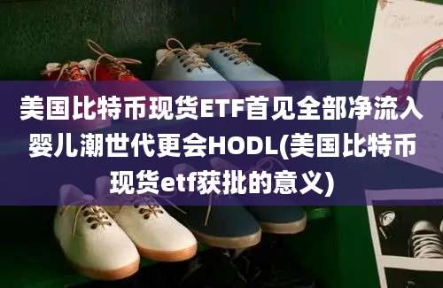 美国比特币现货ETF首见全部净流入婴儿潮世代更会HODL(美国比特币现货etf获批的意义)