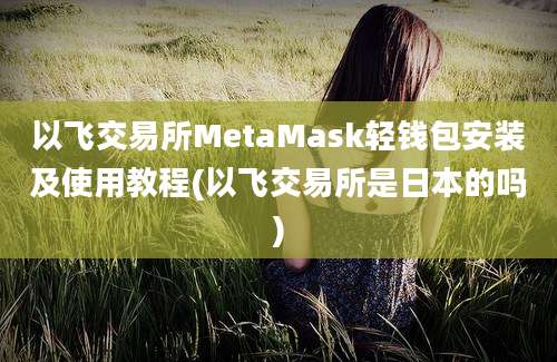 以飞交易所MetaMask轻钱包安装及使用教程(以飞交易所是日本的吗)