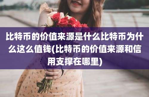 比特币的价值来源是什么比特币为什么这么值钱(比特币的价值来源和信用支撑在哪里)