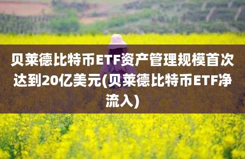 贝莱德比特币ETF资产管理规模首次达到20亿美元(贝莱德比特币ETF净流入)