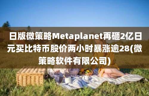 日版微策略Metaplanet再砸2亿日元买比特币股价两小时暴涨逾28(微策略软件有限公司)
