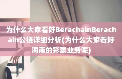 为什么大家看好BerachainBerachain公链详细分析(为什么大家看好海南的彩票业务呢)