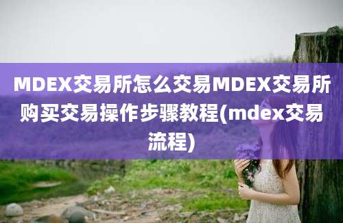 MDEX交易所怎么交易MDEX交易所购买交易操作步骤教程(mdex交易流程)