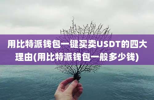 用比特派钱包一键买卖USDT的四大理由(用比特派钱包一般多少钱)
