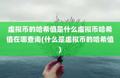 虚拟币的哈希值是什么虚拟币哈希值在哪查询(什么是虚拟币的哈希值)