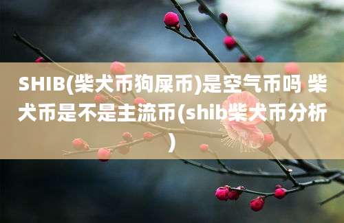 SHIB(柴犬币狗屎币)是空气币吗 柴犬币是不是主流币(shib柴犬币分析)