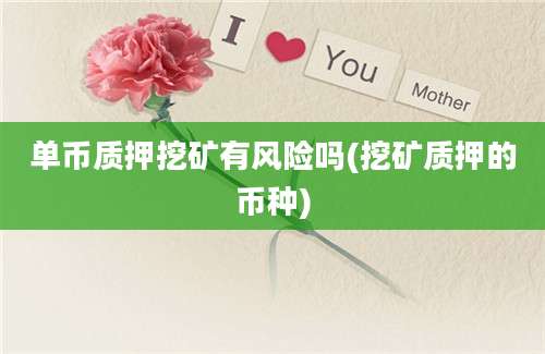 单币质押挖矿有风险吗(挖矿质押的币种)