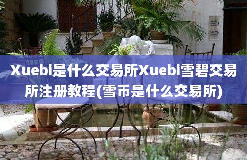 Xuebi是什么交易所Xuebi雪碧交易所注册教程(雪币是什么交易所)