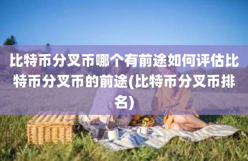 比特币分叉币哪个有前途如何评估比特币分叉币的前途(比特币分叉币排名)