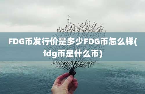 FDG币发行价是多少FDG币怎么样(fdg币是什么币)