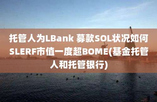 托管人为LBank 募款SOL状况如何SLERF市值一度超BOME(基金托管人和托管银行)