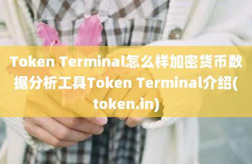 Token Terminal怎么样加密货币数据分析工具Token Terminal介绍(token.in)