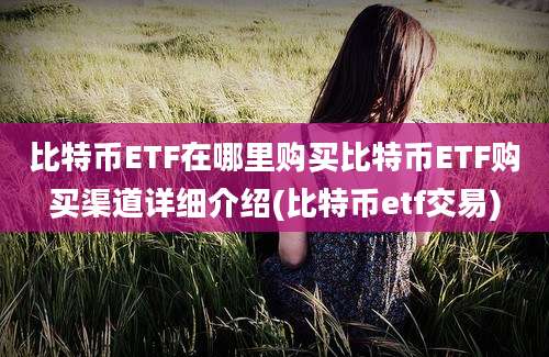 比特币ETF在哪里购买比特币ETF购买渠道详细介绍(比特币etf交易)