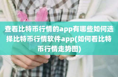 查看比特币行情的app有哪些如何选择比特币行情软件app(如何看比特币行情走势图)
