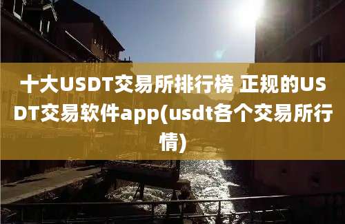 十大USDT交易所排行榜 正规的USDT交易软件app(usdt各个交易所行情)