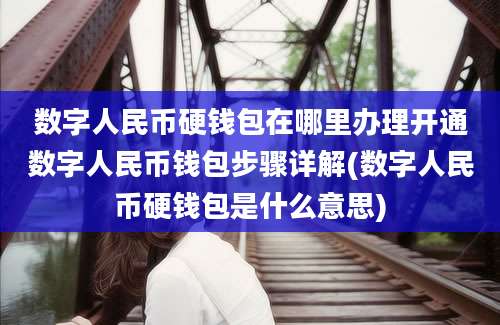 数字人民币硬钱包在哪里办理开通数字人民币钱包步骤详解(数字人民币硬钱包是什么意思)