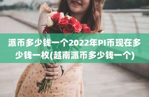 派币多少钱一个2022年PI币现在多少钱一枚(越南派币多少钱一个)