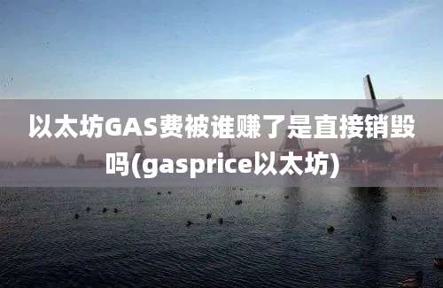 以太坊GAS费被谁赚了是直接销毁吗(gasprice以太坊)