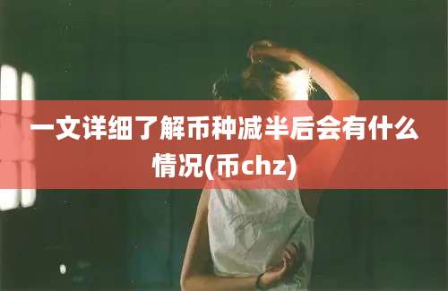一文详细了解币种减半后会有什么情况(币chz)