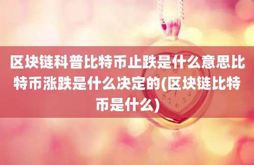 区块链科普比特币止跌是什么意思比特币涨跌是什么决定的(区块链比特币是什么)
