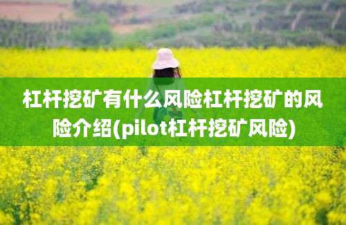 杠杆挖矿有什么风险杠杆挖矿的风险介绍(pilot杠杆挖矿风险)