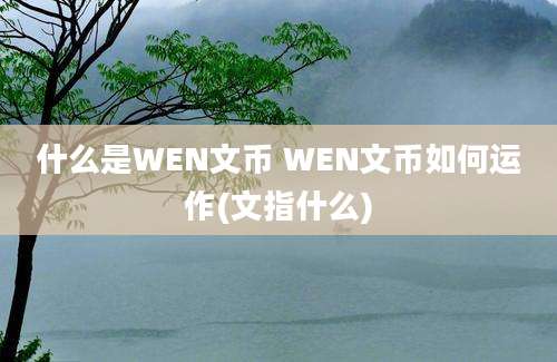 什么是WEN文币 WEN文币如何运作(文指什么)