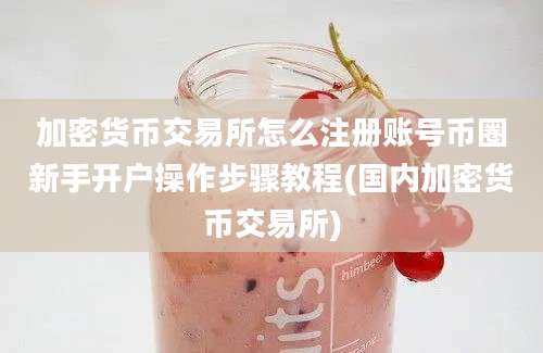 加密货币交易所怎么注册账号币圈新手开户操作步骤教程(国内加密货币交易所)