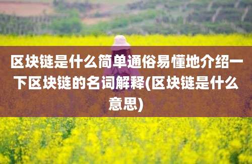 区块链是什么简单通俗易懂地介绍一下区块链的名词解释(区块链是什么意思)