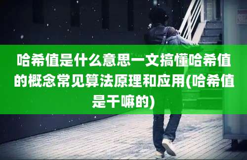 哈希值是什么意思一文搞懂哈希值的概念常见算法原理和应用(哈希值是干嘛的)