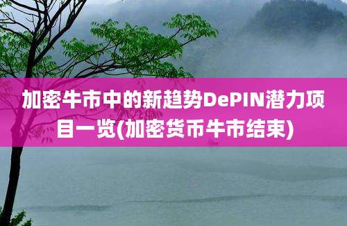 加密牛市中的新趋势DePIN潜力项目一览(加密货币牛市结束)