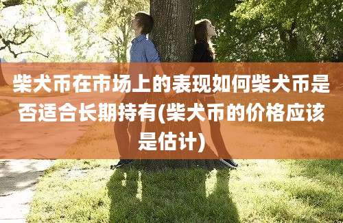 柴犬币在市场上的表现如何柴犬币是否适合长期持有(柴犬币的价格应该是估计)