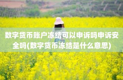 数字货币账户冻结可以申诉吗申诉安全吗(数字货币冻结是什么意思)