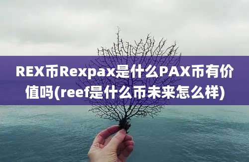 REX币Rexpax是什么PAX币有价值吗(reef是什么币未来怎么样)