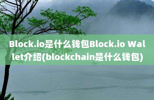 Block.io是什么钱包Block.io Wallet介绍(blockchain是什么钱包)