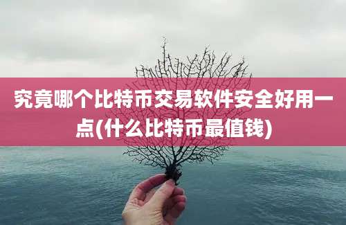 究竟哪个比特币交易软件安全好用一点(什么比特币最值钱)
