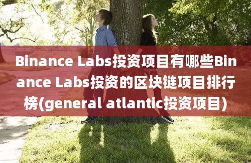 Binance Labs投资项目有哪些Binance Labs投资的区块链项目排行榜(general atlantic投资项目)