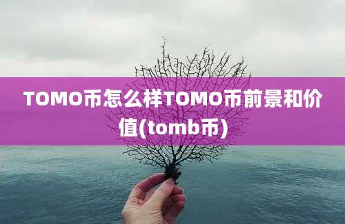 TOMO币怎么样TOMO币前景和价值(tomb币)
