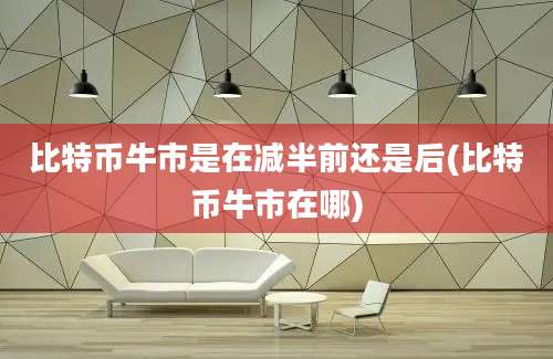 比特币牛市是在减半前还是后(比特币牛市在哪)