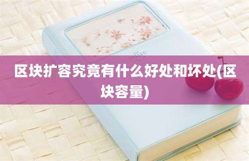 区块扩容究竟有什么好处和坏处(区块容量)