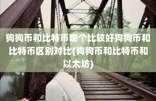 狗狗币和比特币哪个比较好狗狗币和比特币区别对比(狗狗币和比特币和以太坊)