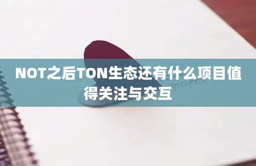 NOT之后TON生态还有什么项目值得关注与交互