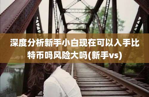 深度分析新手小白现在可以入手比特币吗风险大吗(新手vs)