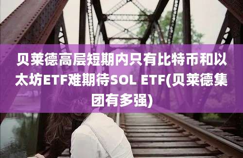 贝莱德高层短期内只有比特币和以太坊ETF难期待SOL ETF(贝莱德集团有多强)