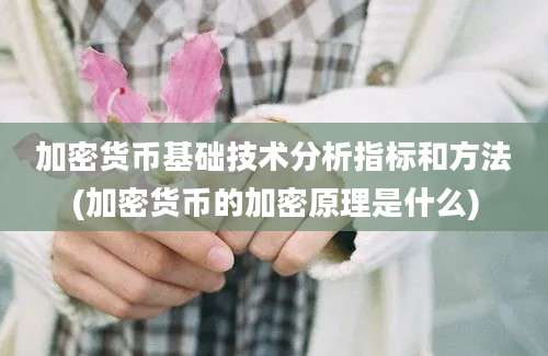 加密货币基础技术分析指标和方法(加密货币的加密原理是什么)