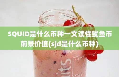 SQUID是什么币种一文读懂鱿鱼币前景价值(sjd是什么币种)